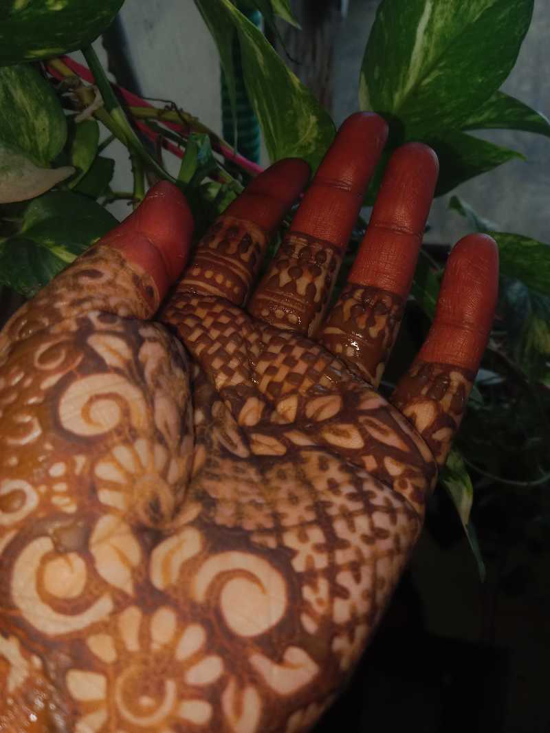 Festive Celebration Mehndi